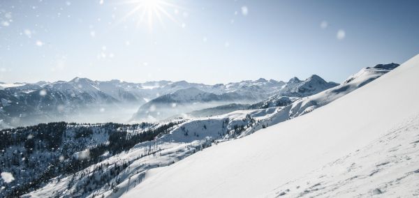 Sněhové zpravodajství zobrazuje nový sníh, výšku sněhu na horách nebo v údolí a aktuální stav lanovek a sjezdovek.