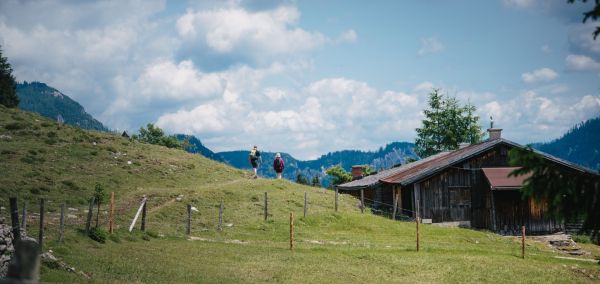 A Tennengau csomagajánlatai hangulatos és kihívást jelentő túrákat kínálnak az autentikus alpesi hüttékhez és legelőkhöz
