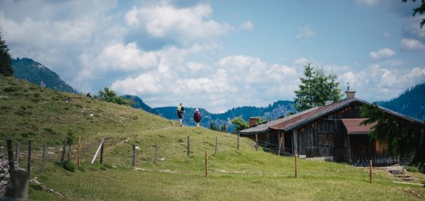 A nyári alpesi túrázás közben a hütték kulináris kínálatából válogathatunk Tennengau-ban.