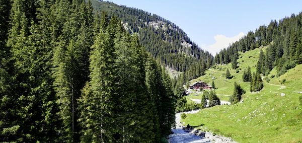 Élvezze a biotermelők világát a Magas-Tauern Nemzeti Parkban töltött bio-vakáción