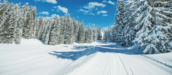 Zimowa kraina czarów Dachstein West oferuje najlepsze karnety dla wszystkich miłośników zimy.